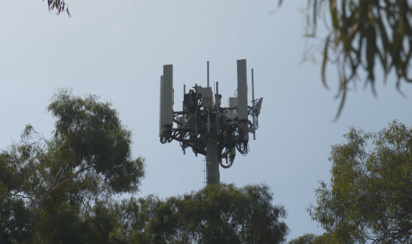 Optus launches 5G and 4K Live Video & outdoes Telstra for coverage