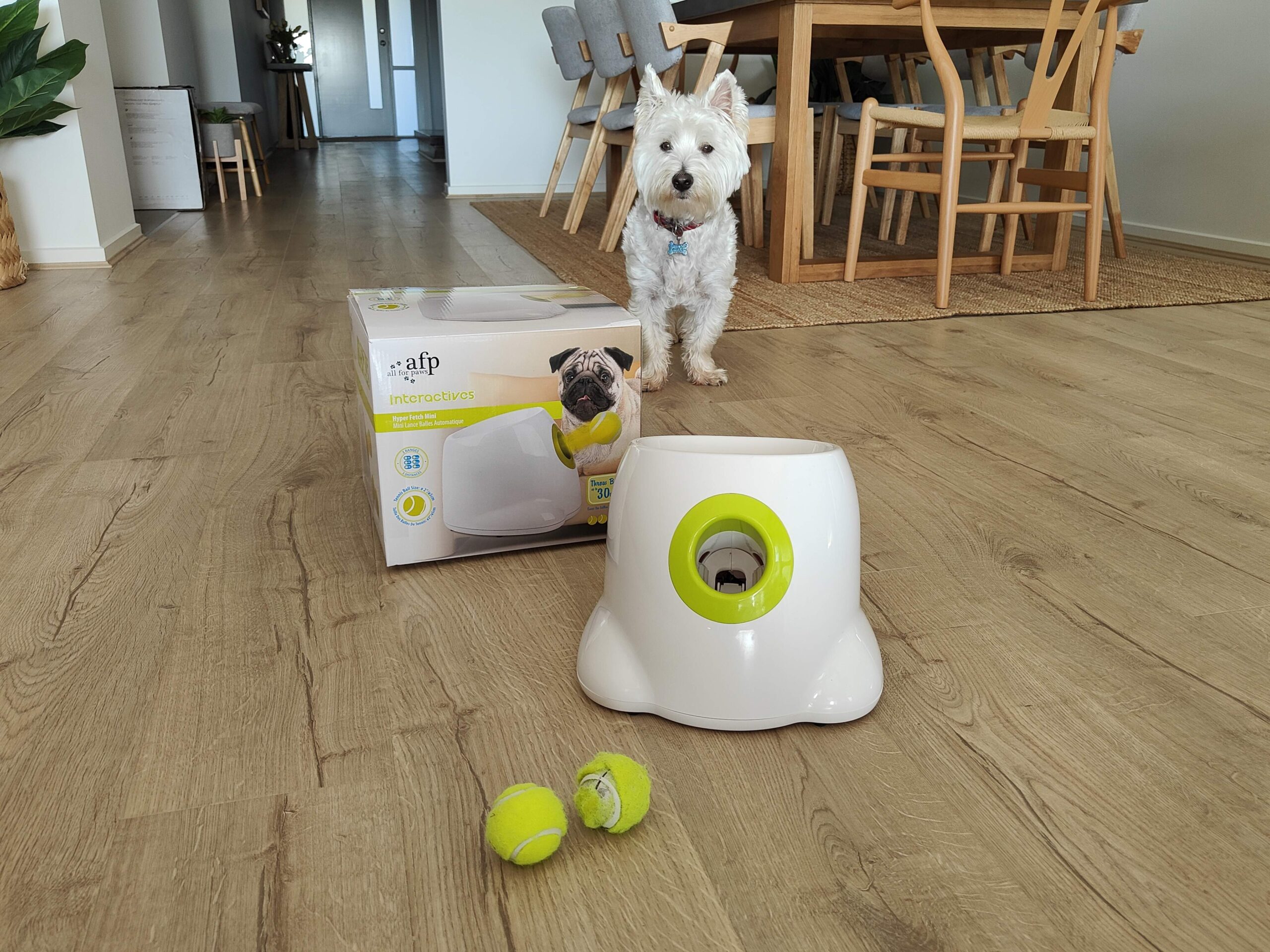 all for paws hyper fetch maxi