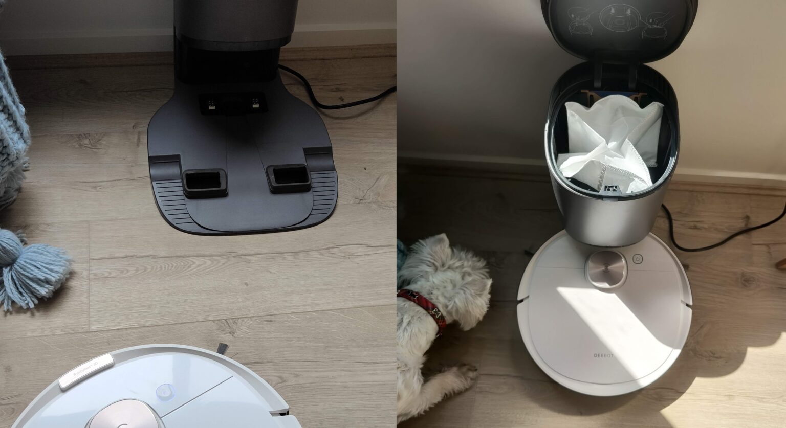 deebot empty dust bin