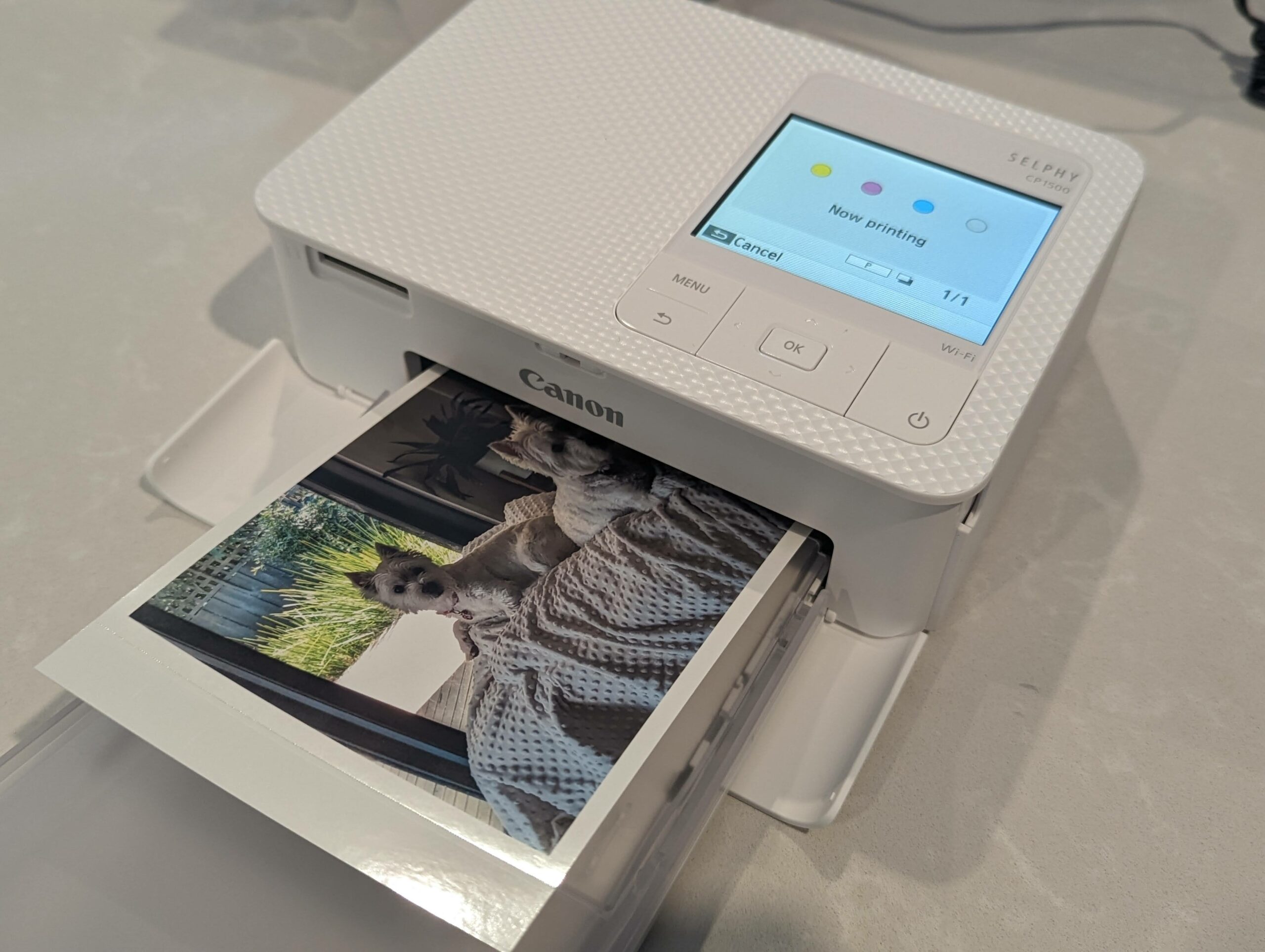 Bring Print to Life with SELPHY CP1500